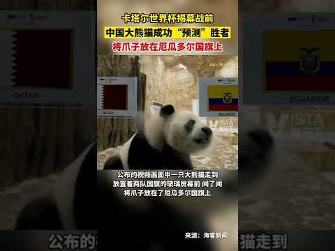 體育時報,曝萊萬拒高,薪轉會,百家乐,在线百家乐,真人百家乐,百家乐平台,百家乐投注,老虎机