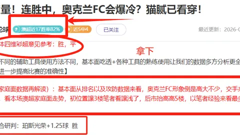 澳超风云再起：纽卡斯尔喷气机，能否在这波连胜浪潮中乘风破浪？
