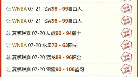 2026世界杯备战，百家乐，，麦卡利斯特归队助力阿根廷终极冲刺